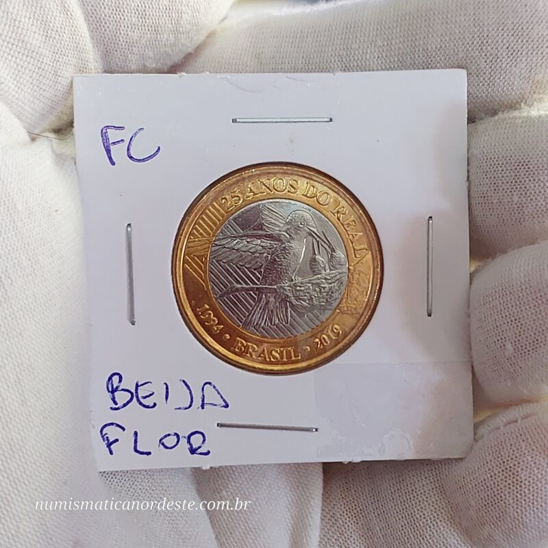 Moeda de 1 Real do Brasil Comemorativa aos 25 Anos do Plano Real - Beija Flor - (FC - Flor de Cunho) - Imagem 7