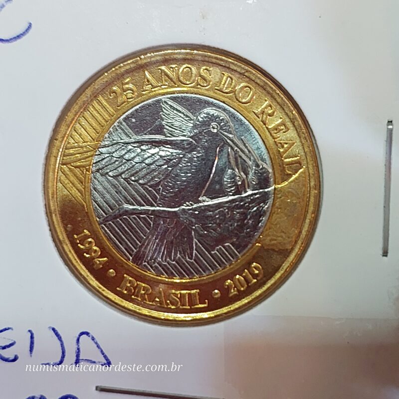Moeda de 1 Real do Brasil Comemorativa aos 25 Anos do Plano Real - Beija Flor - (FC - Flor de Cunho) - Imagem 4