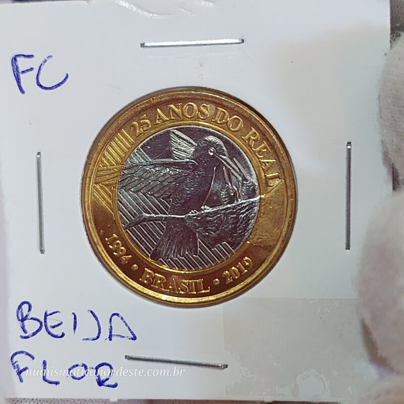 Moeda de 1 Real do Brasil Comemorativa aos 25 Anos do Plano Real - Beija Flor - (FC - Flor de Cunho) - Imagem 6