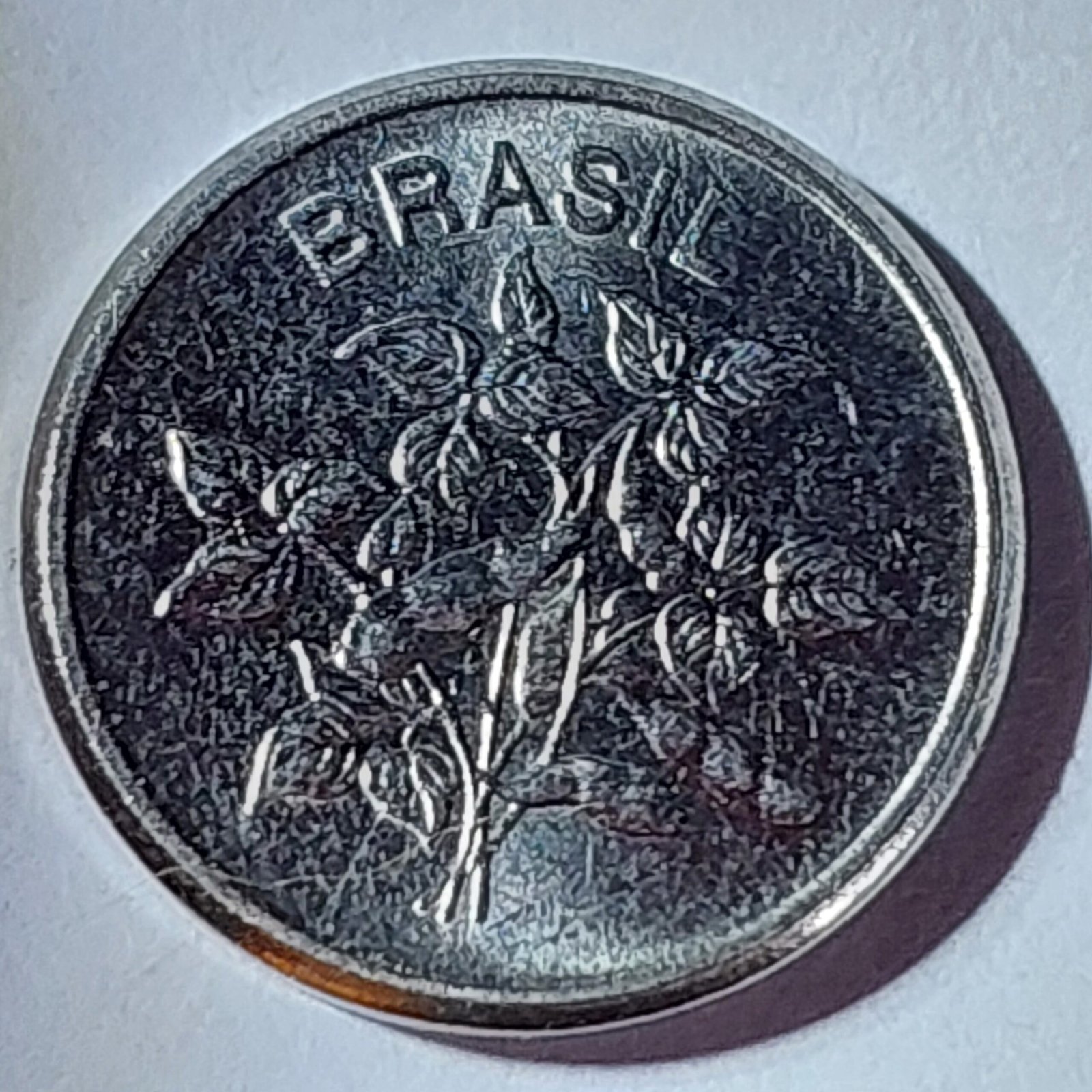 Moeda de 1 Centavo do Brasil Ano 1983 - Sojinha - Imagem 4